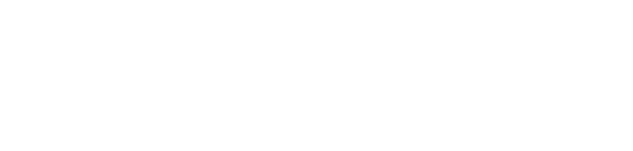 World Economic Council